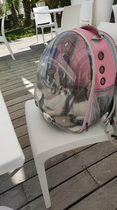 Lido Beach | Stabilimento Balneare | Ristorante di Pesce e Pizzeria — foto 2
