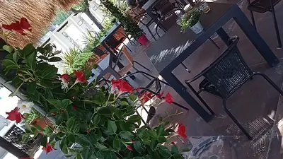 Stabilimento Balneare La Conchiglia 29 - Hop & CO Vista Mare - Ristorante Bistrot — foto 2