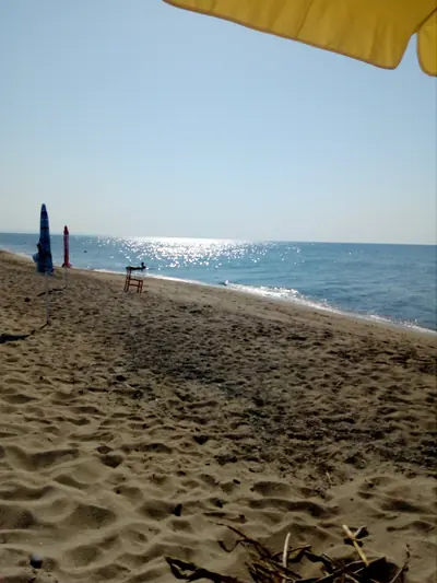 Paradise Beach Club — foto 4