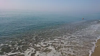 Paradise Beach Club — foto 5