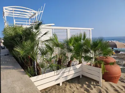 Conchiglia Beach Club — foto 3