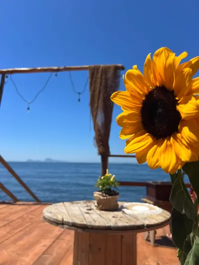 Casa Soleil Beach Club — foto 5