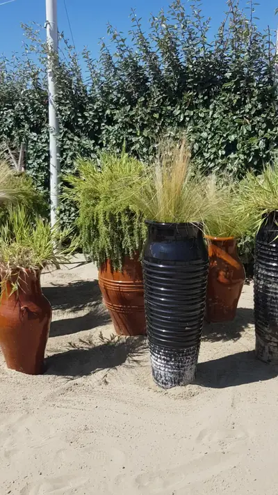 Fantini Club — foto 2