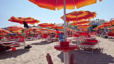 Il Gabbiano - Ristorante - Stabilimento Balneare (Conc. 36) — foto 2