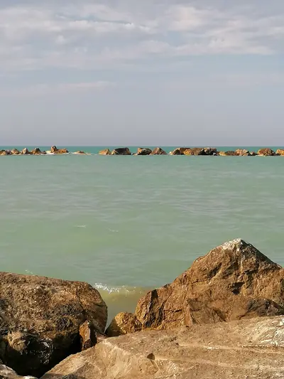 Lido Alcione Fish Restaurant — foto 5