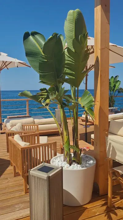 Habibi Beach Club — foto 2
