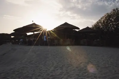 Baja del Sol Beach Bar and Restaurant — foto 4