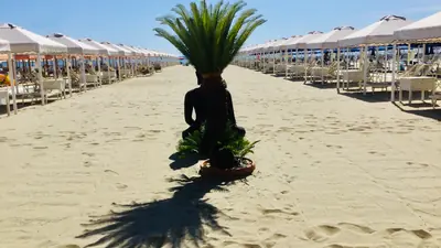Bagni Danio Beach Club — lido di camaiore, Toscana